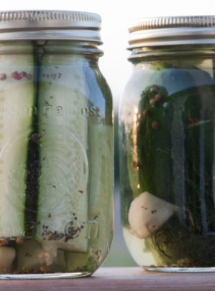 Simple Make Your Own Refrigerator Dill Pickles
