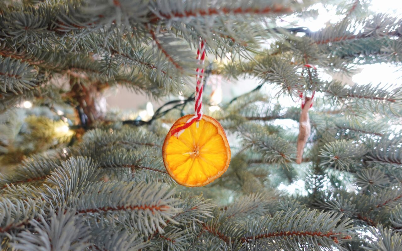 Dried Orange Ornament in Christmas Tree